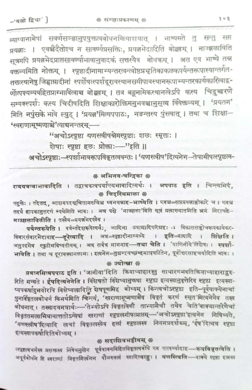 Laghushabdendushekhar 2 vols (C.SB.G 537)